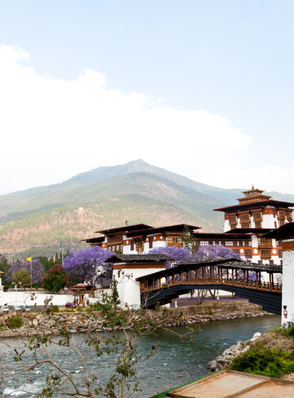 punakha dzong with wooden cantilever bridge, bhutan