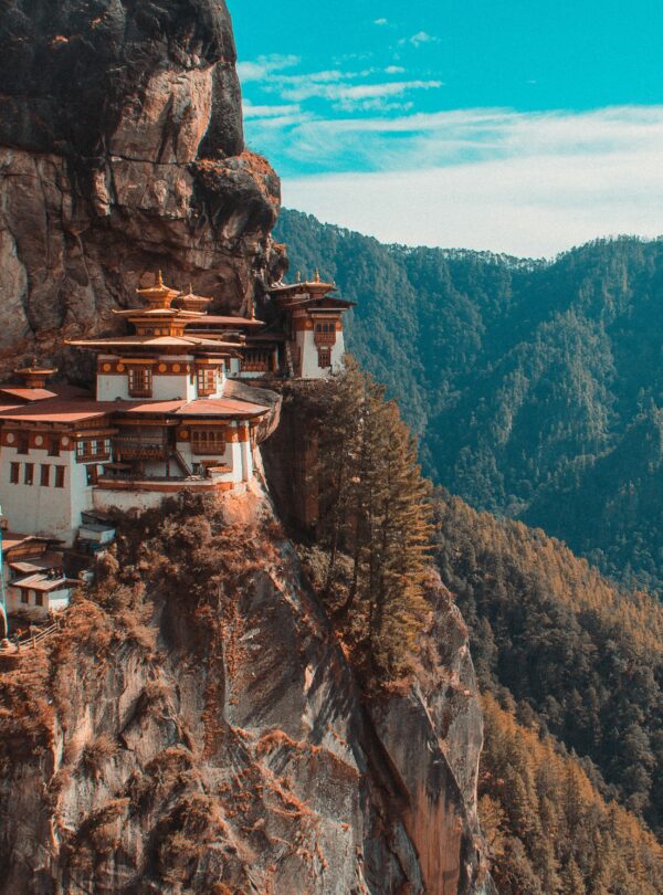 aaron-santelices-ZdwVvRdel8A-unsplash