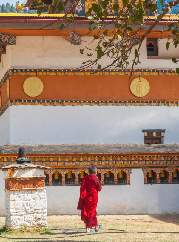 A boy buddhist monk, Bhutan